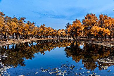 《不可思议迷宫：风来的西林6》日本销量破20万部